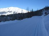 Immagini di sci nordico dalle piste dei Piani di Bobbio, di Schilpario e di Zambla (inverno 2010) - FOTOGALLERY